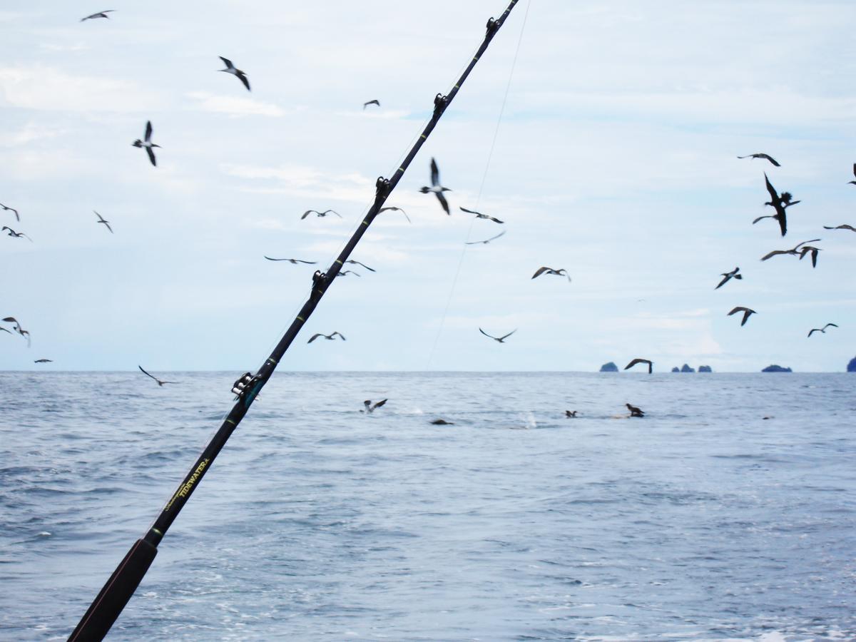 Mapara Crab Lodge บาเยีย โซลาโฯ ภายนอก รูปภาพ